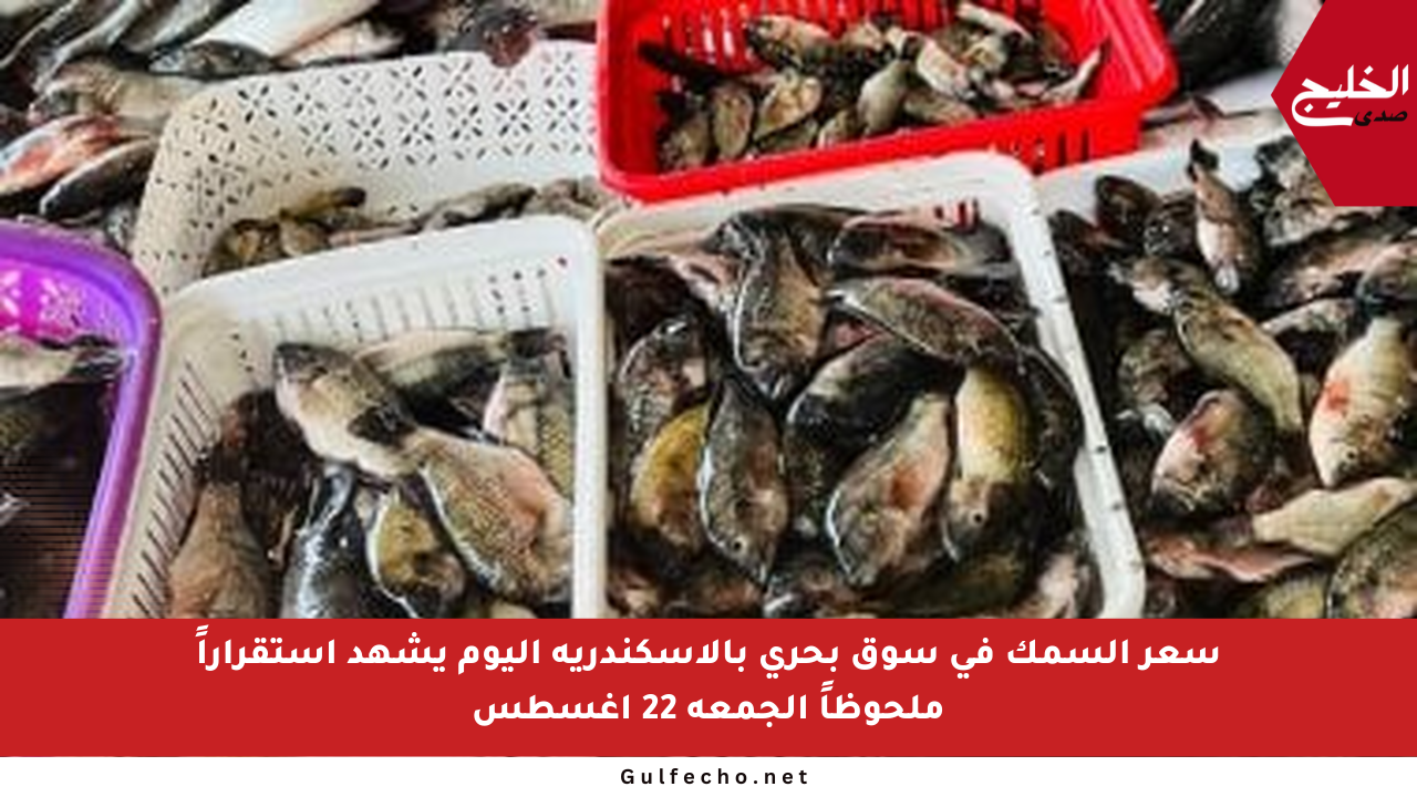 سعر السمك فى سوق بحرى بالإسكندرية اليوم يشهد استقراراً ملحوظاً الجمعة 22 أغسطس